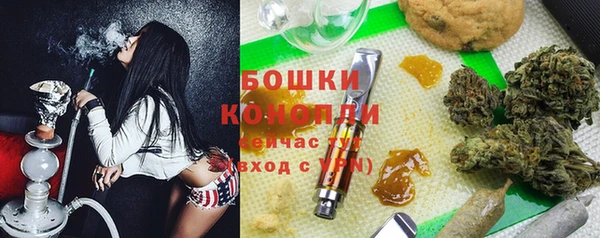 скорость Гусев