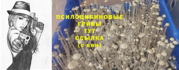 прущая мука Чекалин