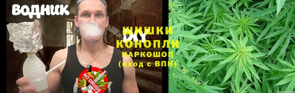 прущая мука Чекалин