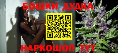 мдпв Будённовск