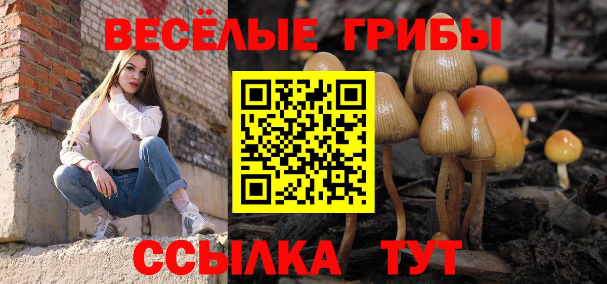 Псилоцибиновые грибы мицелий  Псилоцибиновые грибы Magic Shrooms  Елец 