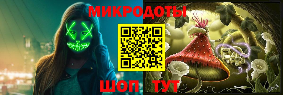 Галлюциногенные грибы Cubensis Елец